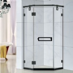 Shower Room Idea SL-R6816