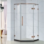 Shower Room Idea SL-R6809